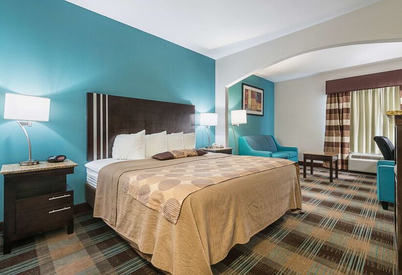בית מלון כפרי Best Western Plus Deridder Inn & Suites