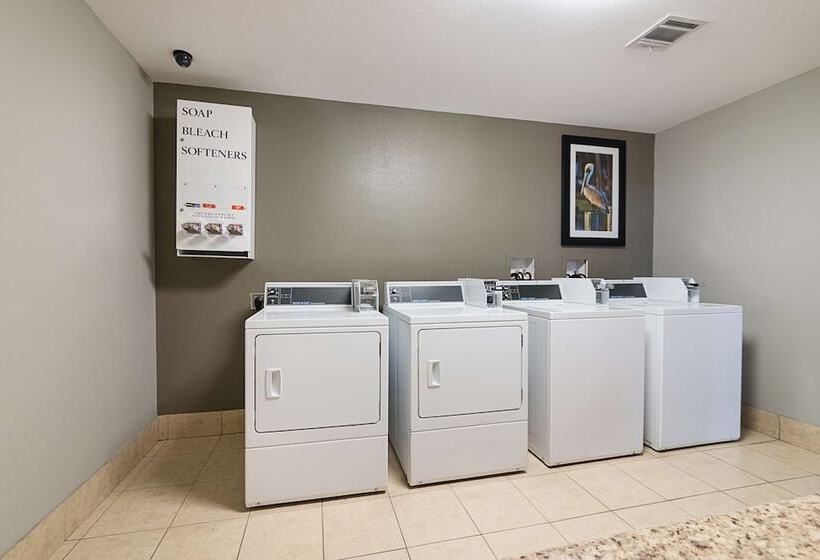 בית מלון כפרי Best Western Plus Deridder Inn & Suites
