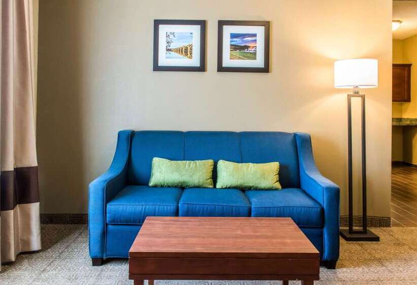 ホテル Comfort Inn Columbia Lancaster