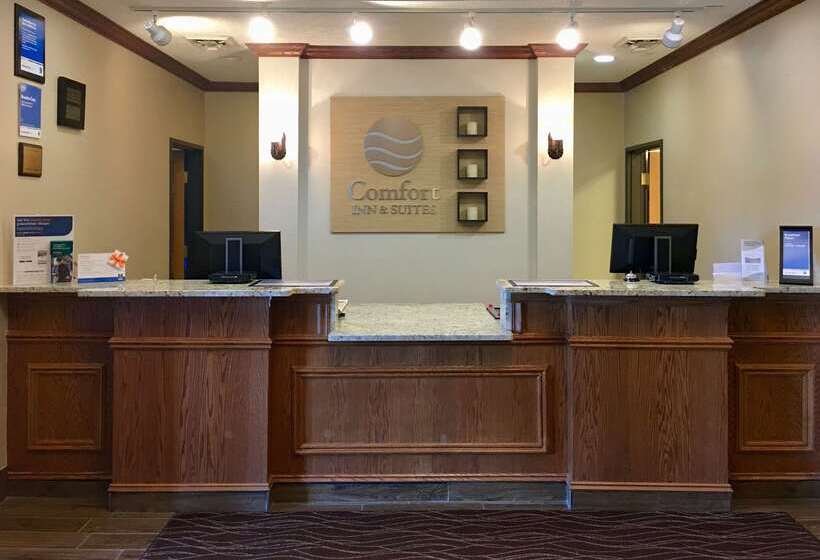 هتل Comfort Inn & Suites