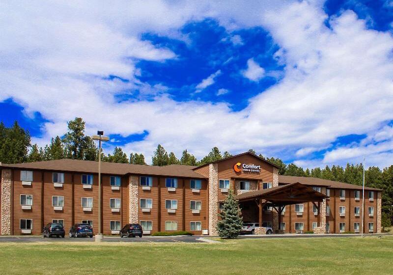 هتل Comfort Inn & Suites