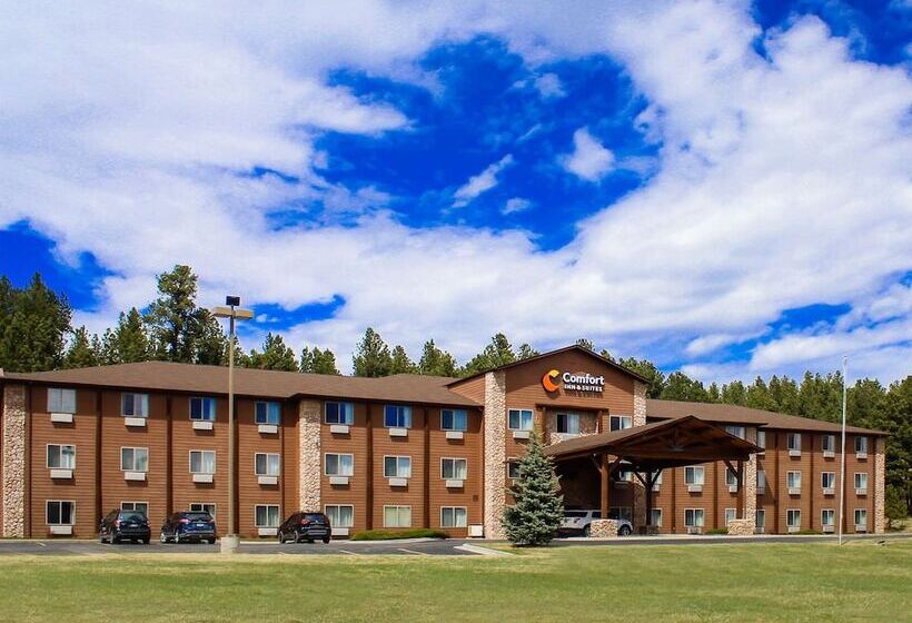 هتل Comfort Inn & Suites