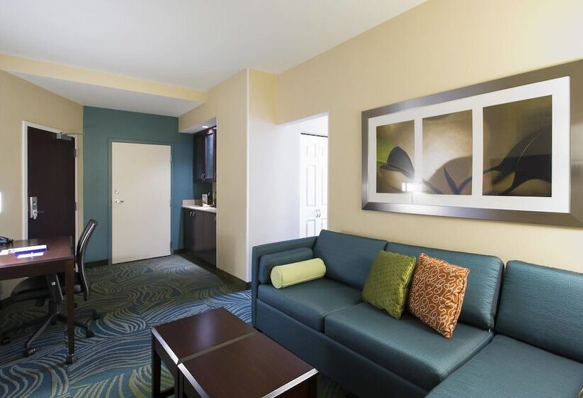 هتل Springhill Suites By Marriott Omaha East, Council Bluffs, Ia