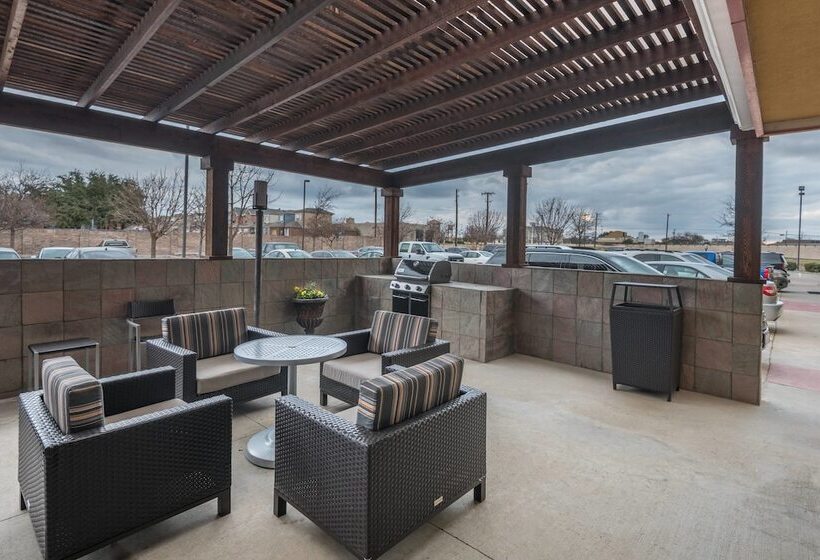 בית מלון כפרי Towneplace Suites Dallas Desoto