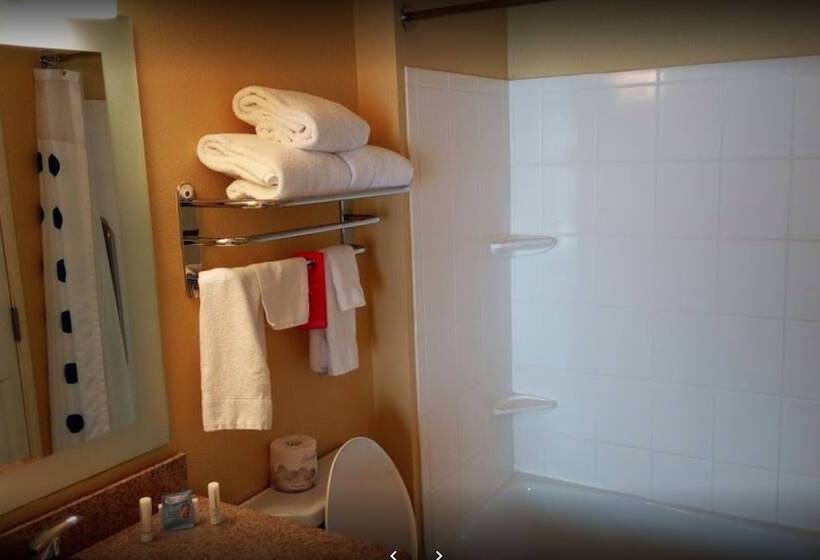 בית מלון כפרי Towneplace Suites Dallas Desoto