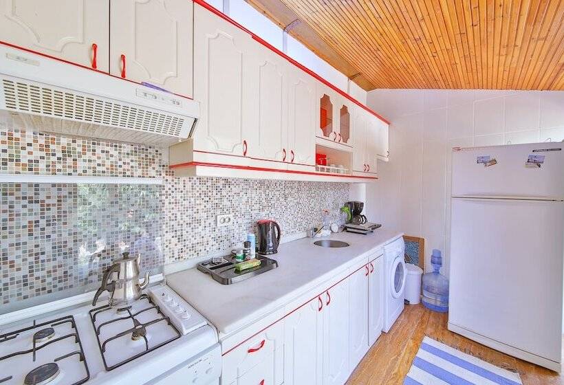 Villa Dundar   Kas Apartments