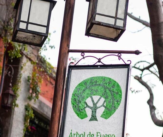 árbol De Fuego Eco Hotel, A Green Experience In The City