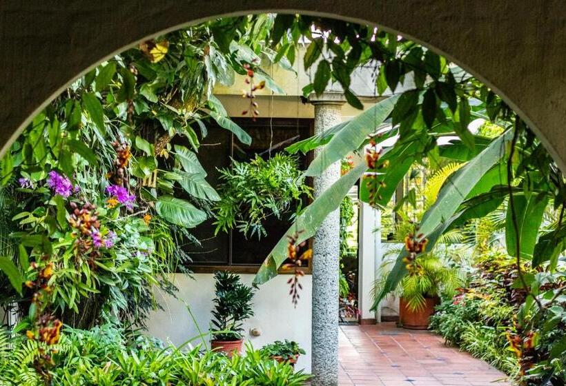 árbol De Fuego Eco Hotel, A Green Experience In The City