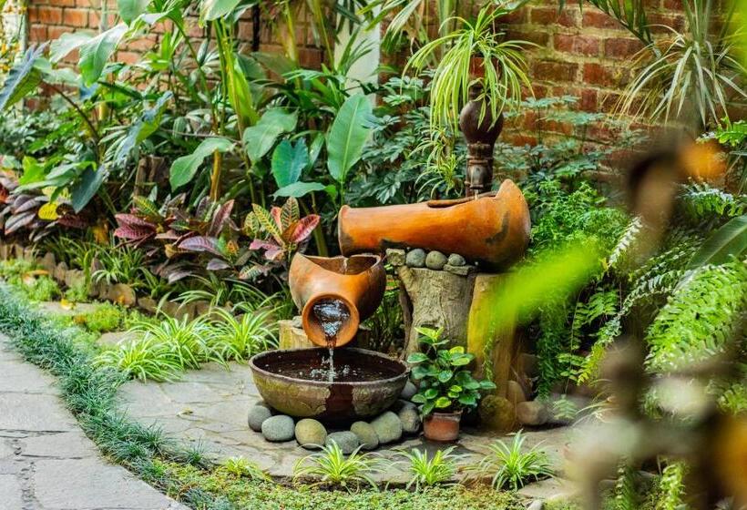 árbol De Fuego Eco Hotel, A Green Experience In The City