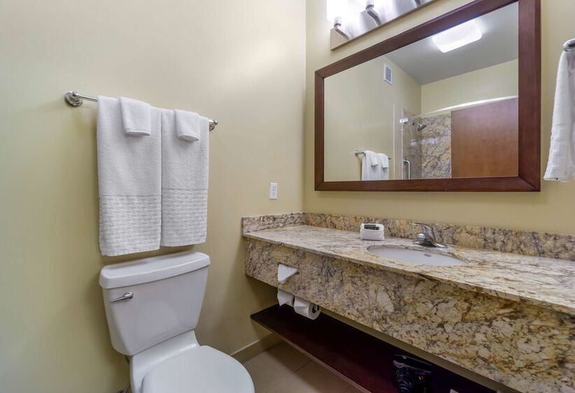فندق Best Western Plus Lacey Inn & Suites