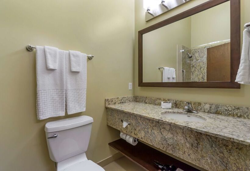 فندق Best Western Plus Lacey Inn & Suites
