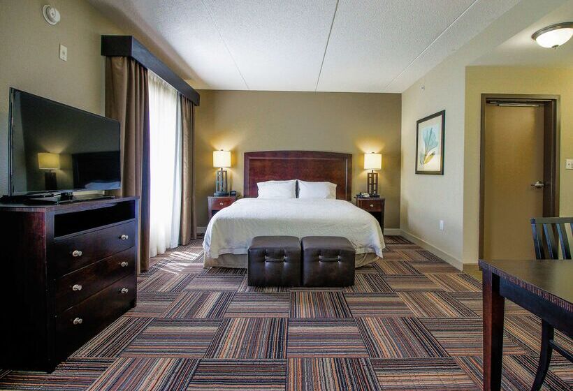 فندق Hampton Inn & Suites By Hilton Flowery Branch Lake Lanier