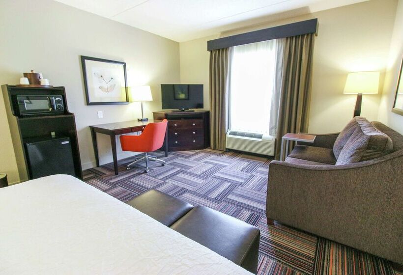 فندق Hampton Inn & Suites By Hilton Flowery Branch Lake Lanier