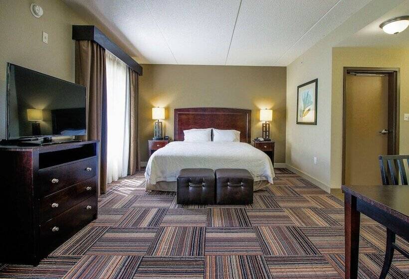 فندق Hampton Inn & Suites By Hilton Flowery Branch Lake Lanier