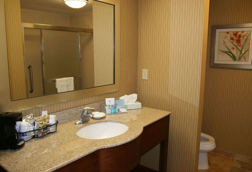 酒店 Hampton Inn & Suites Exmore   Eastern Shore