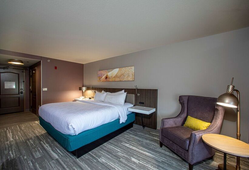 هتل Hilton Garden Inn Rapid City