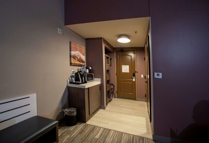 هتل Hilton Garden Inn Rapid City