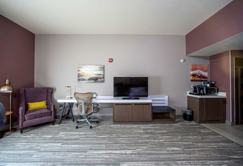 هتل Hilton Garden Inn Rapid City