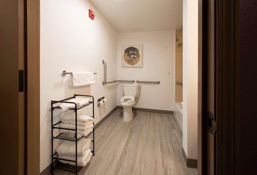 هتل Hilton Garden Inn Rapid City