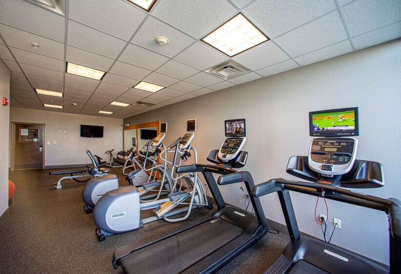 هتل Hilton Garden Inn Rapid City
