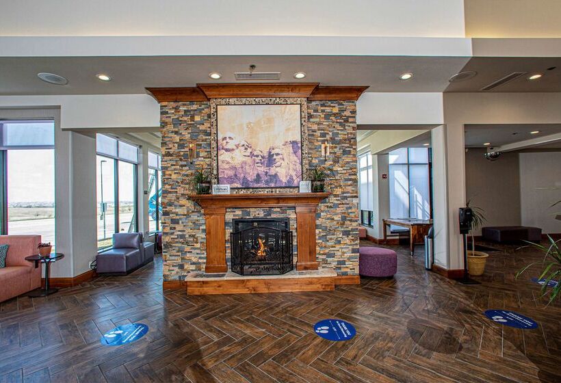 هتل Hilton Garden Inn Rapid City