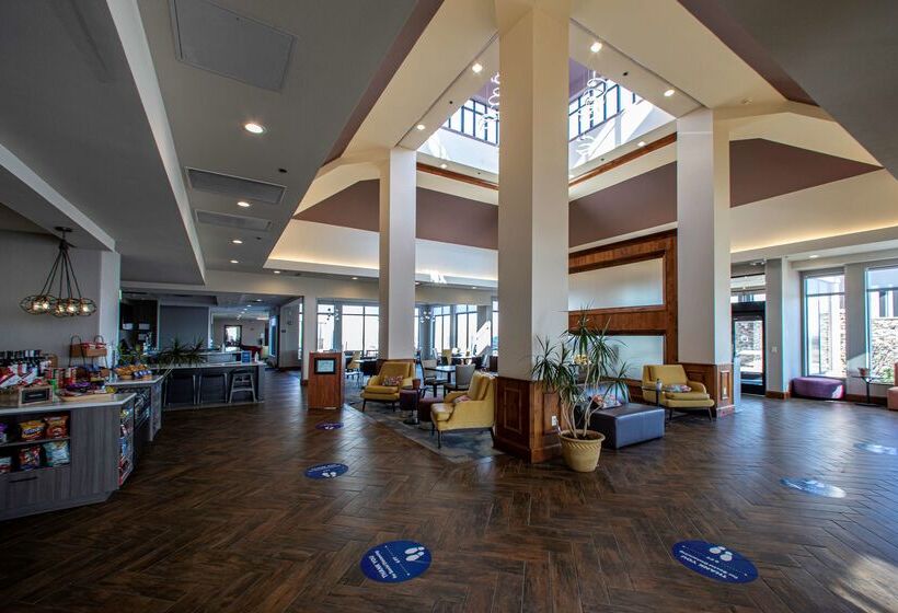هتل Hilton Garden Inn Rapid City