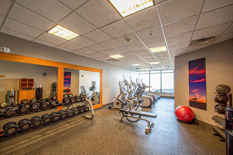 هتل Hilton Garden Inn Rapid City