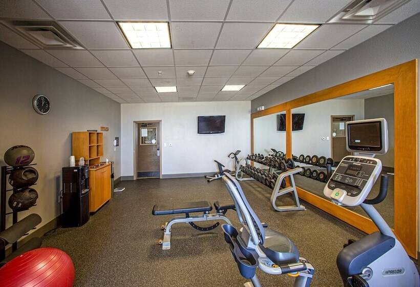 هتل Hilton Garden Inn Rapid City