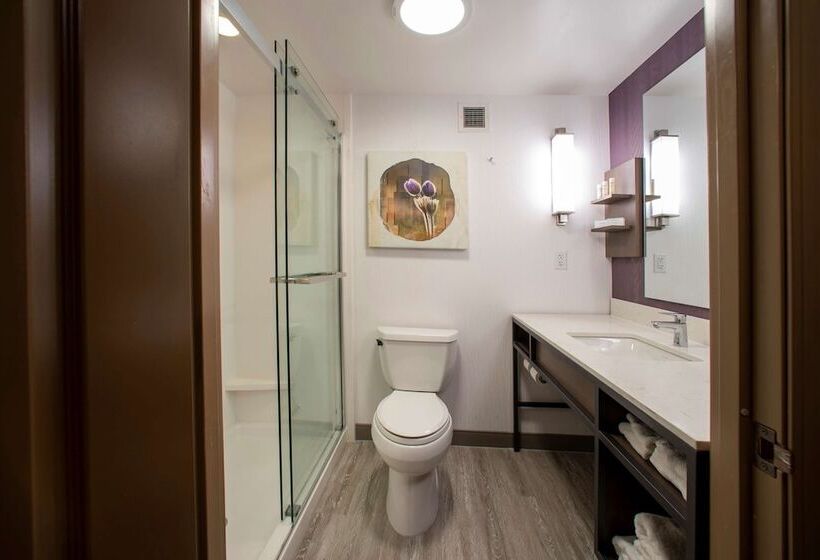 هتل Hilton Garden Inn Rapid City