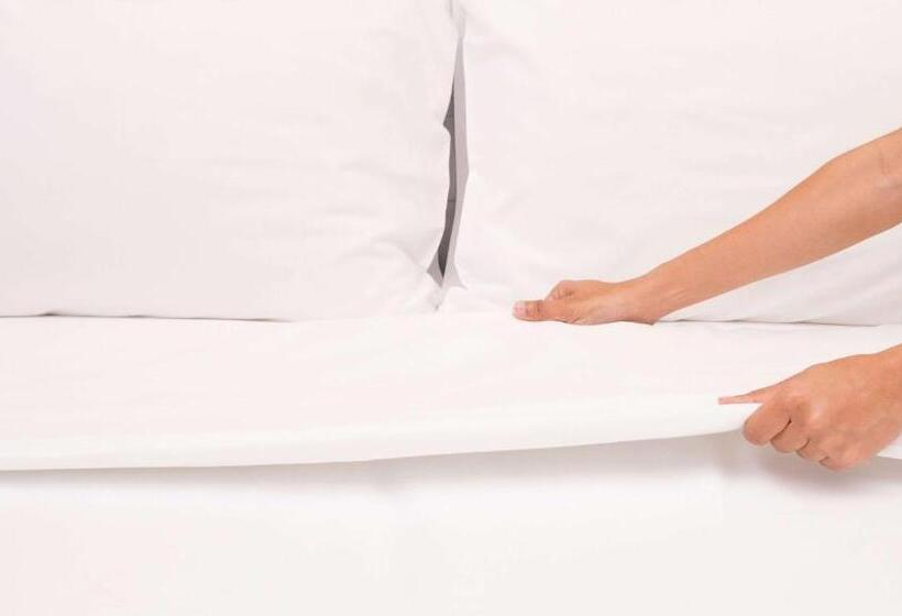 هتل Magnuson Grand Rushmore View