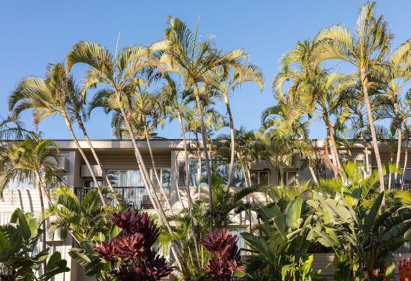 فندق Maui Beach