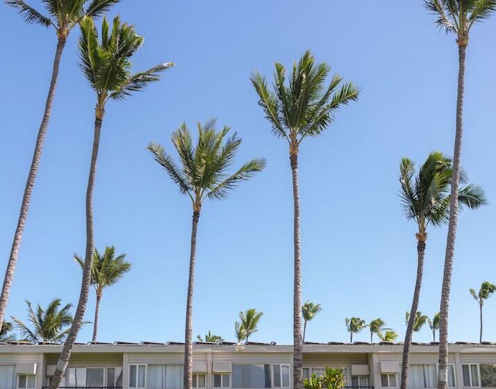 فندق Maui Beach