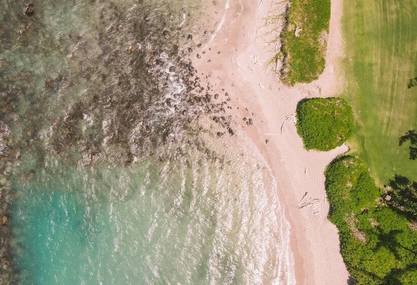 فندق Maui Beach