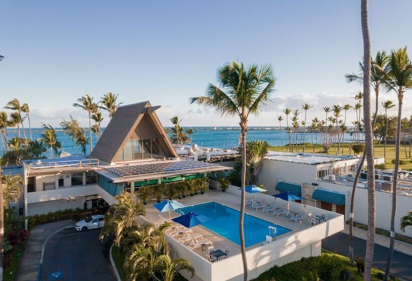 فندق Maui Beach