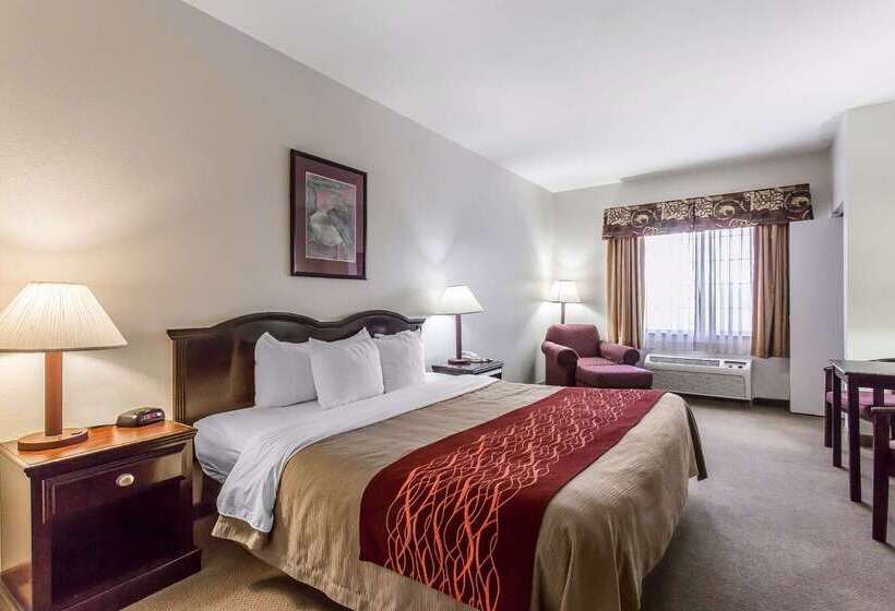 فندق Quality Inn & Suites
