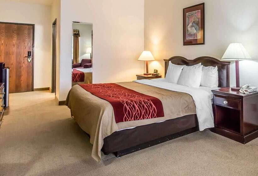 فندق Quality Inn & Suites