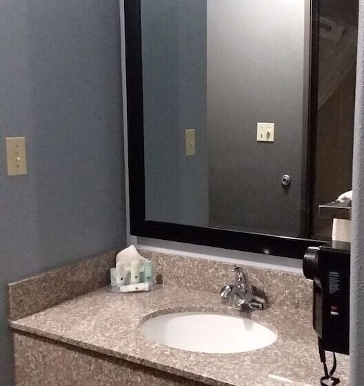 فندق Quality Inn & Suites
