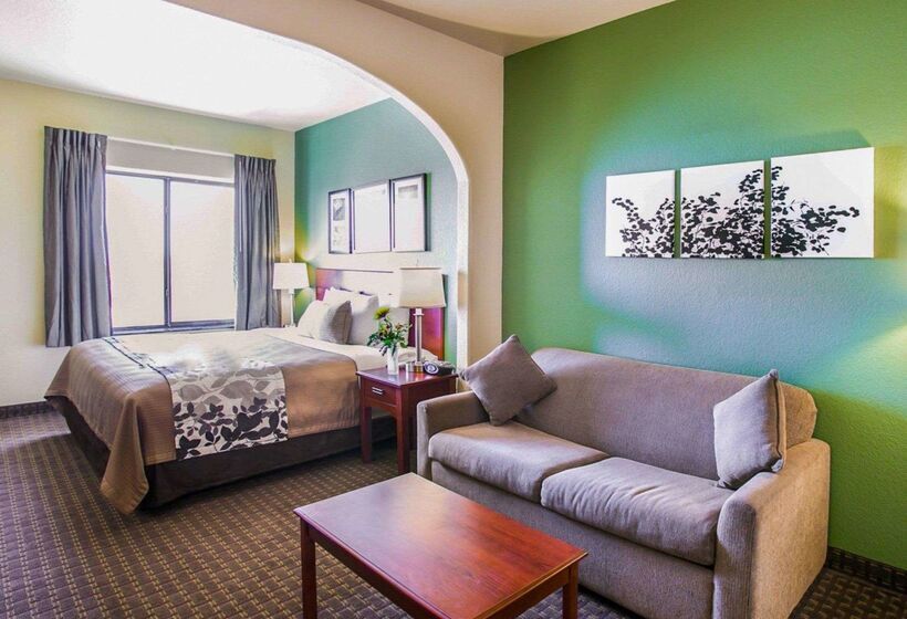 Отель Sleep Inn & Suites Near Palmetto State Park