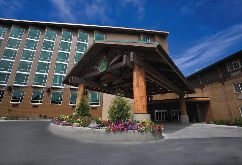 فندق The Mill Casino