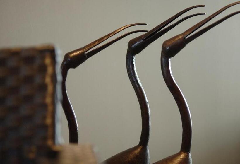 هتل Canal Aigues Mortes