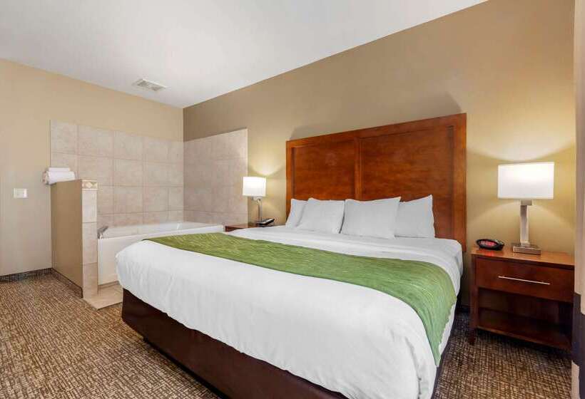 هتل Comfort Inn Ploverstevens Point