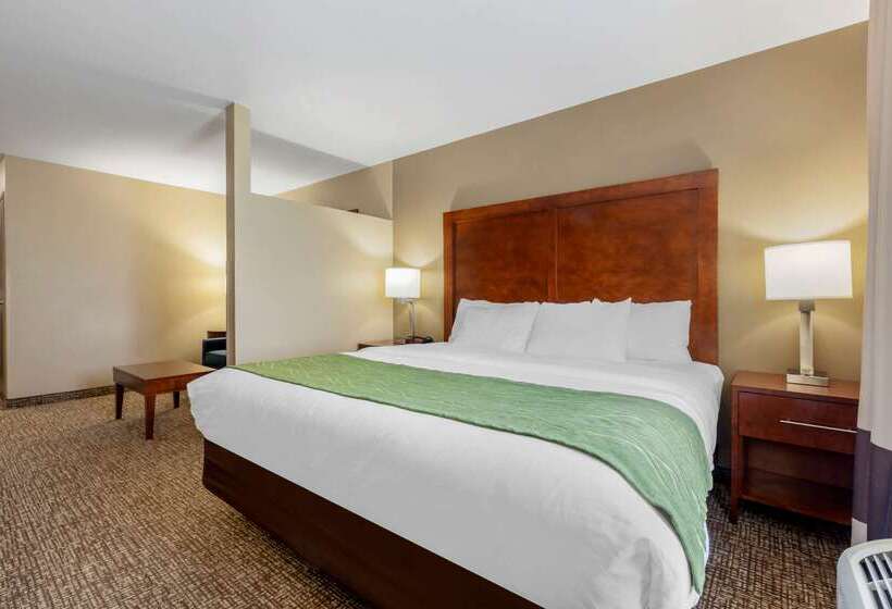 هتل Comfort Inn Ploverstevens Point