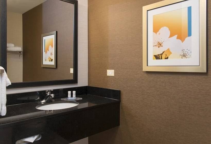 酒店 Fairfield Inn And Suites By Marriott Chicago St. Charles