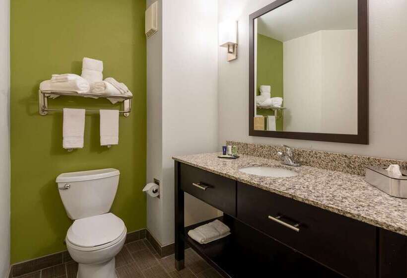 酒店 Sleep Inn & Suites Harbour Pointe