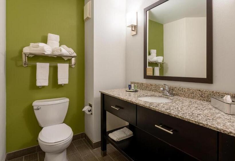 酒店 Sleep Inn & Suites Harbour Pointe