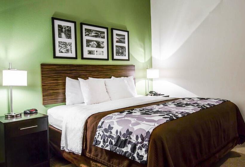בית מלון כפרי Sleep Inn & Suites Marion  Military Institute