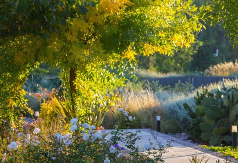 هتل Entre Cielos Wine & Wellness