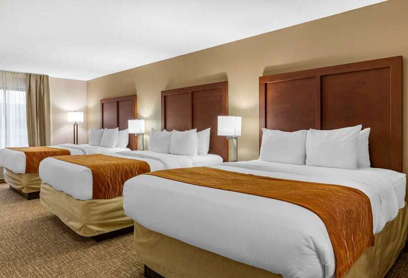 酒店 Comfort Inn Smithfield Near I 95