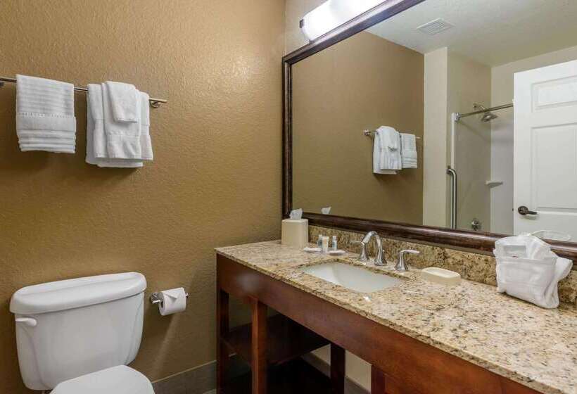 Отель Comfort Suites The Villages