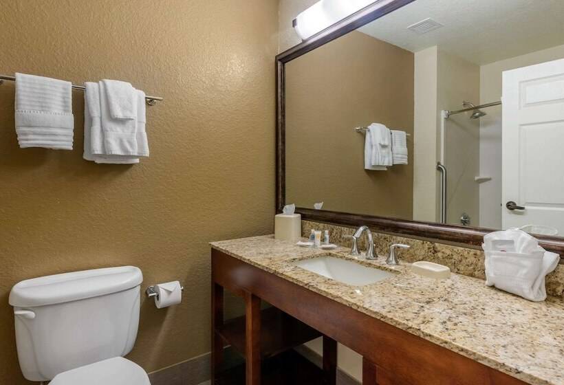 Отель Comfort Suites The Villages